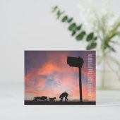 Activiteiten in de omgeving van Dog Beach at Sunse Briefkaart (Staand voorkant)