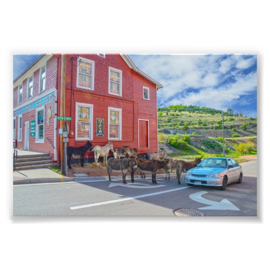 Activiteiten in de omgeving van Donkey Welcoming C Foto Afdruk (Voorkant)