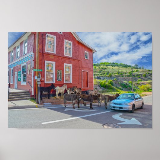 Activiteiten in de omgeving van Donkey Welcoming C Poster (Voorkant)