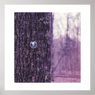 Activiteiten in de omgeving van Dunbar Cave State  Poster