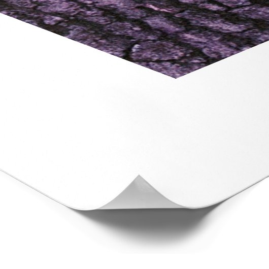 Activiteiten in de omgeving van Dunbar Cave State  Poster (Hoek)