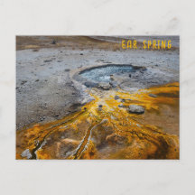 Activiteiten in de omgeving van Ear Spring Yellows