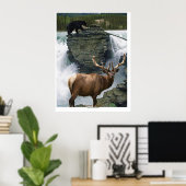 Activiteiten in de omgeving van Elk & Black Beren  Poster (Thuiskantoor)