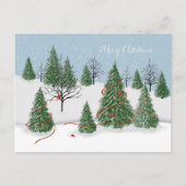 Activiteiten in de omgeving van Enchanted Forest C Feestdagenkaart (Voorkant)