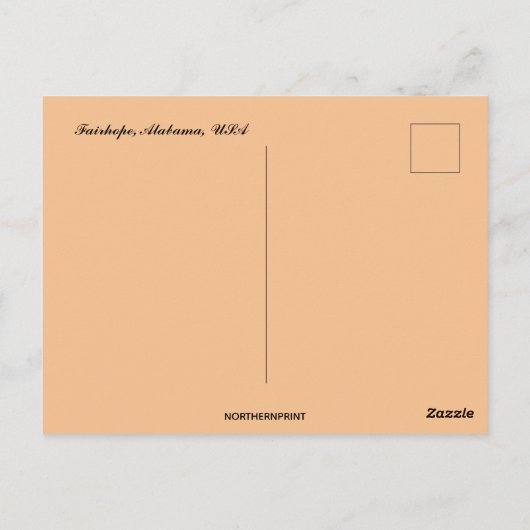 Activiteiten in de omgeving van Fairhope Alabama Briefkaart (Achterkant)