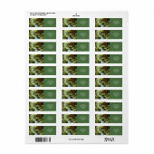 Activiteiten in de omgeving van Fantasy Schattige Etiket (Full Sheet)