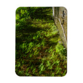 Activiteiten in de omgeving van Fern Canyon Redwoo Magneet (Verticaal)