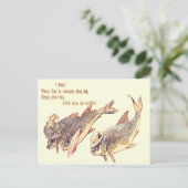 Activiteiten in de omgeving van Fish Family April Briefkaart (Staand voorkant)