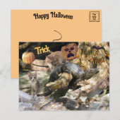 Activiteiten in de omgeving van Florida Cat & Gato Feestdagenkaart (Voorkant / Achterkant)