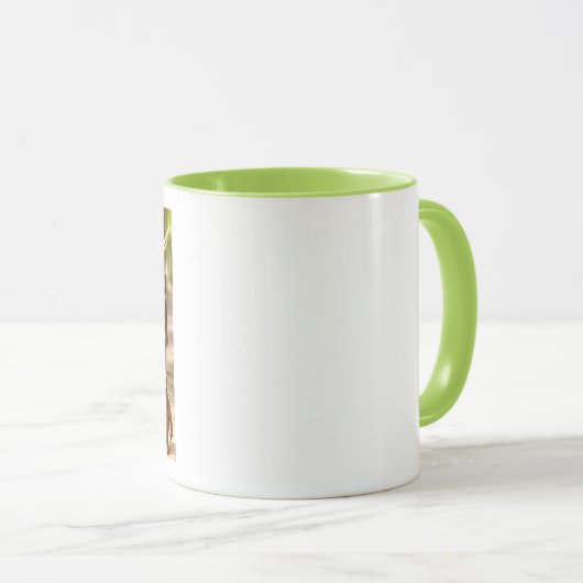 Activiteiten in de omgeving van Forest Checker & S Mok (Voorkant rechts)