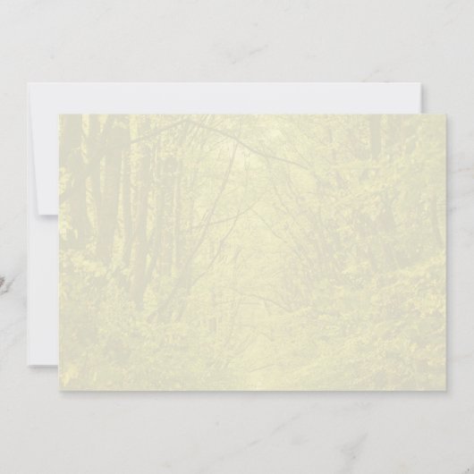 Activiteiten in de omgeving van Forest Inspired Tr Kaart (Achterkant)