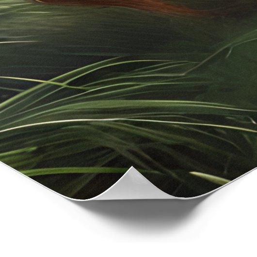 Activiteiten in de omgeving van Forest Princess Fa Poster (Hoek)