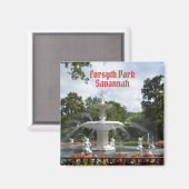 Activiteiten in de omgeving van Forsyth Park Fount Magneet (Voorkant / Achterkant)