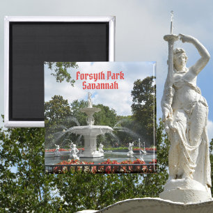Activiteiten in de omgeving van Forsyth Park Fount Magneet