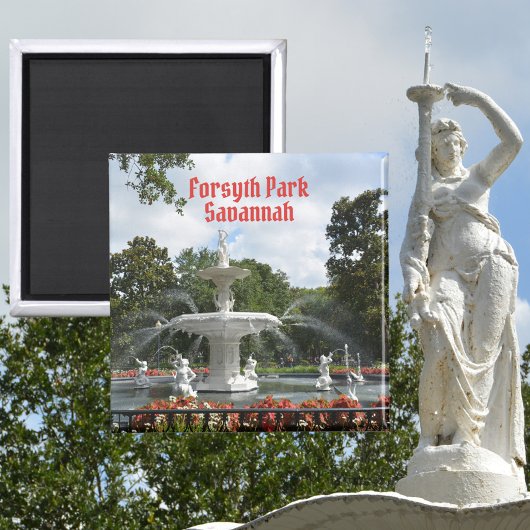 Activiteiten in de omgeving van Forsyth Park Fount Magneet