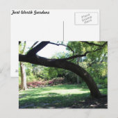 Activiteiten in de omgeving van Fort Worth Garden Briefkaart (Voorkant / Achterkant)