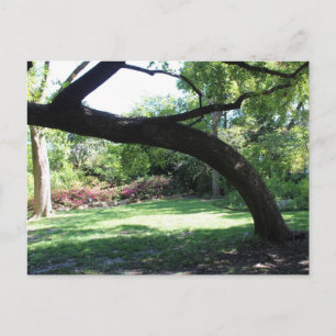 Activiteiten in de omgeving van Fort Worth Garden Briefkaart