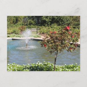 Activiteiten in de omgeving van Fort Worth Garden Briefkaart