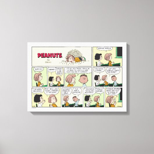 Activiteiten in de omgeving van Franklin, Peppermi Canvas Afdruk (Voorkant)