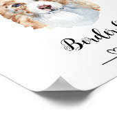 Activiteiten in de omgeving van Fun Border Collie  Poster (Hoek)