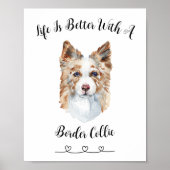 Activiteiten in de omgeving van Fun Border Collie  Poster (Voorkant)