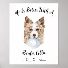 Activiteiten in de omgeving van Fun Border Collie Poster