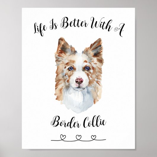 Activiteiten in de omgeving van Fun Border Collie  Poster (Voorkant)