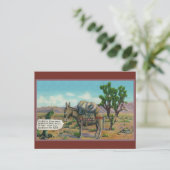 Activiteiten in de omgeving van Funny Donkey in De Briefkaart (Staand voorkant)