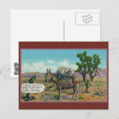 Activiteiten in de omgeving van Funny Donkey in De Briefkaart (Voorkant / Achterkant)