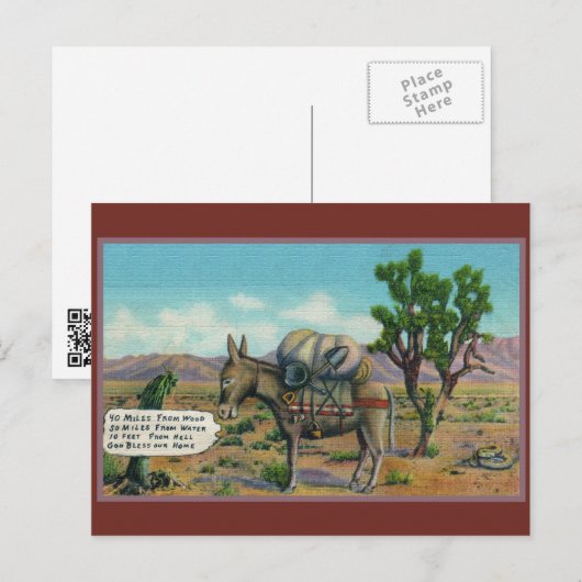 Activiteiten in de omgeving van Funny Donkey in De Briefkaart (Voorkant / Achterkant)