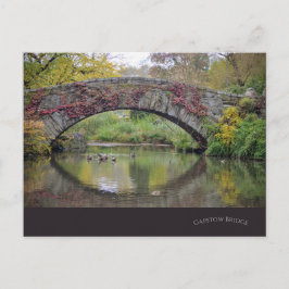 Activiteiten in de omgeving van Gapstow Bridge-Cen Briefkaart