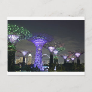 Activiteiten in de omgeving van Gardens by the Bay Briefkaart