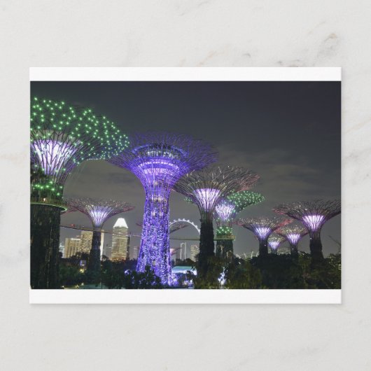 Activiteiten in de omgeving van Gardens by the Bay Briefkaart (Voorkant)