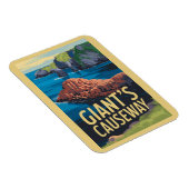 Activiteiten in de omgeving van Giant's Causeway I Magneet (Rechterzijde)