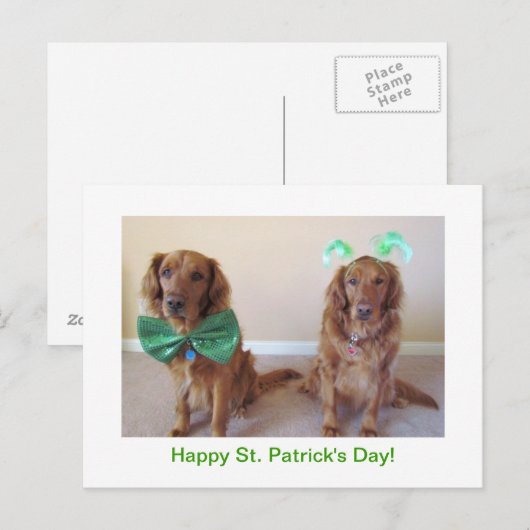 Activiteiten in de omgeving van Golden Retriever S Briefkaart (Voorkant / Achterkant)