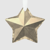 Activiteiten in de omgeving van Golden Star Holida Ornament (voorkant)