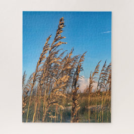 Activiteiten in de omgeving van Golden Zee Oats Be Legpuzzel