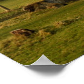 Activiteiten in de omgeving van Goose and Goslings Poster (Hoek)