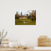 Activiteiten in de omgeving van Goose and Goslings Poster (Keuken)