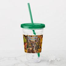 Activiteiten in de omgeving van Great Smoky Mounta