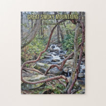 Activiteiten in de omgeving van Great Smoky Mounta