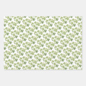 Activiteiten in de omgeving van Green Cloverleaf S Inpakpapier Vel (Voorkant 3)