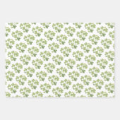 Activiteiten in de omgeving van Green Cloverleaf S Inpakpapier Vel (Voorkant 2)