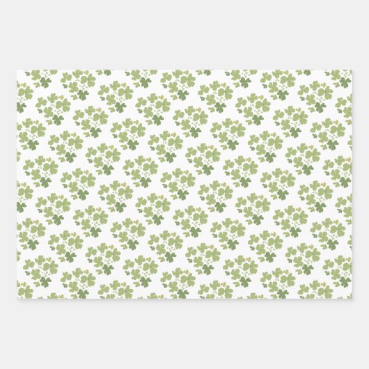 Activiteiten in de omgeving van Green Cloverleaf S Inpakpapier Vel (Voorkant 2)