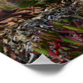 Activiteiten in de omgeving van Half Moon Bay & Al Poster (Hoek)