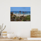 Activiteiten in de omgeving van Half Moon Bay & Al Poster (Keuken)