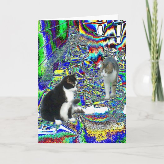 Activiteiten in de omgeving van Hall Pass in Fairy Kaart (Voorkant)