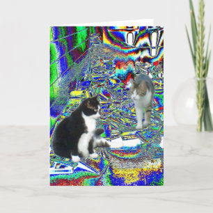 Activiteiten in de omgeving van Hall Pass in Fairy Kaart