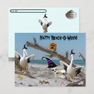 Activiteiten in de omgeving van Happy Beach-O-Ween Briefkaart