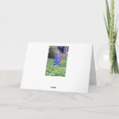 Activiteiten in de omgeving van Happy Birthday, Te Kaart (Achterkant)